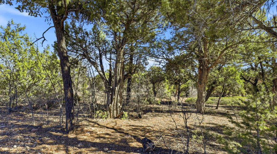 1821SRidgeCrestDr-ShowLow-AZ-3