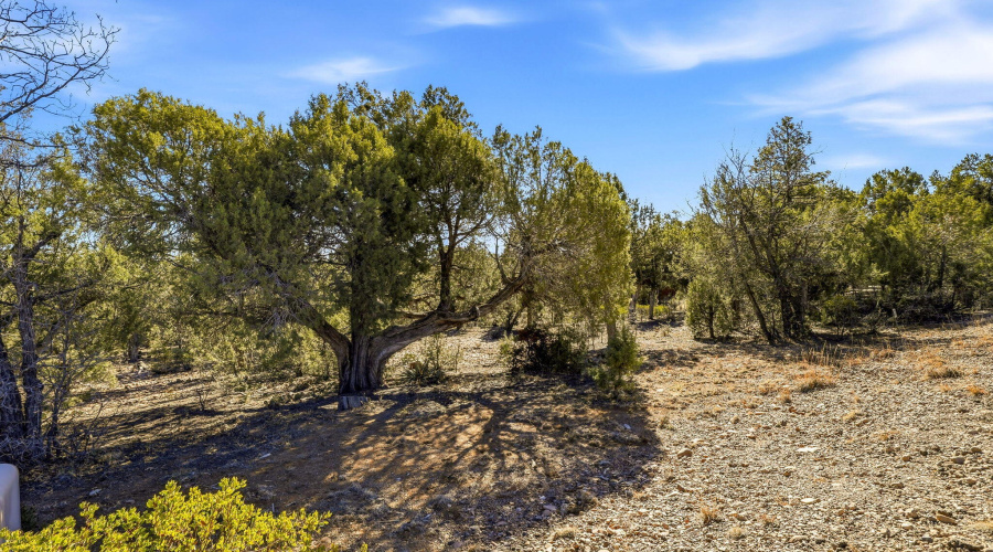 1821SRidgeCrestDr-ShowLow-AZ-1