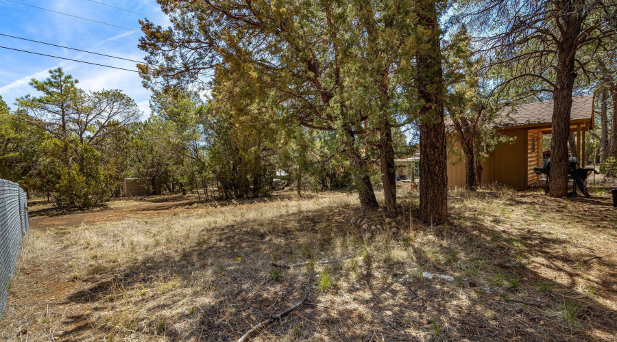2979WesternStarDr-Heber-AZ-18