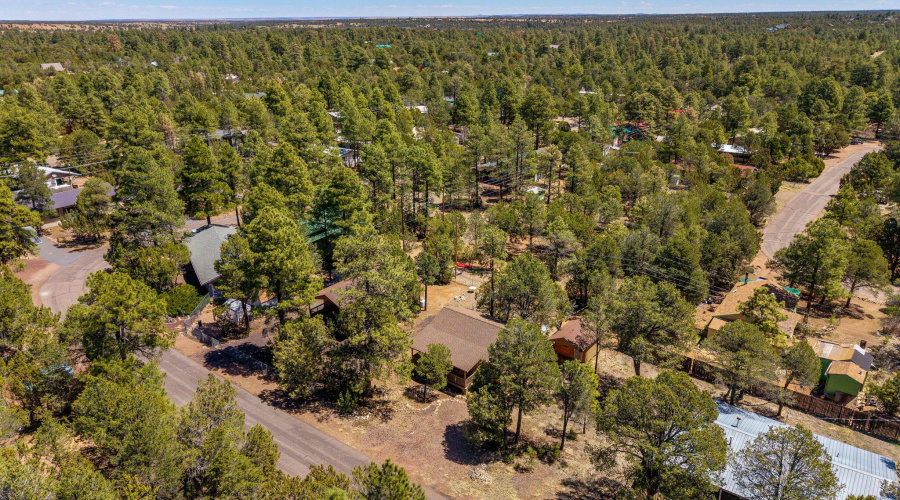 2979WesternStarDr-Heber-AZ-28