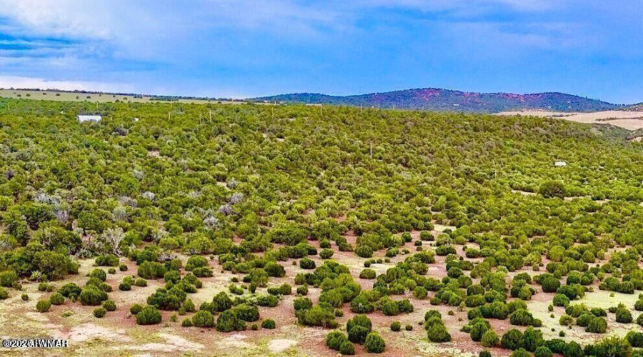 20260114045830686421000000-o