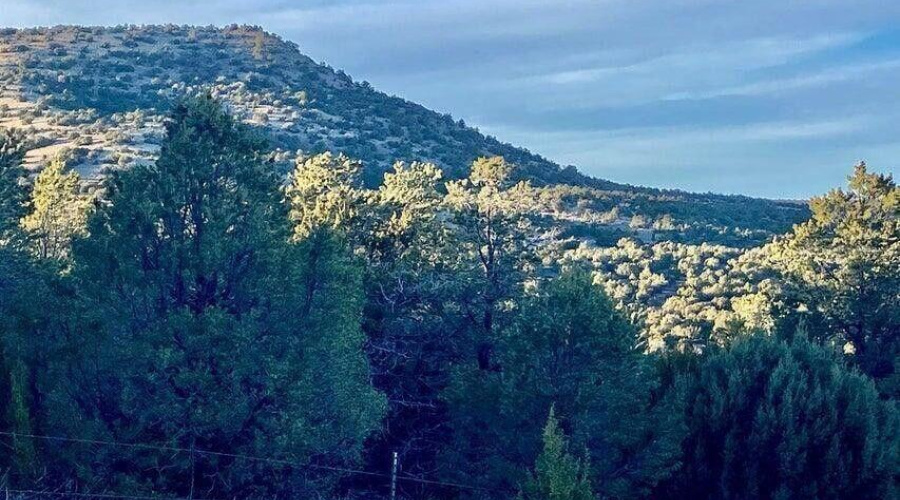 20260114045839199981000000-o