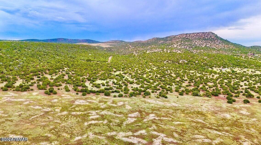 20260114045856509448000000-o