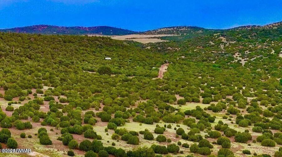 20260114045907643821000000-o