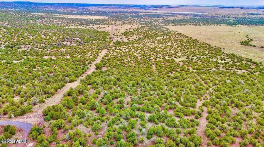 20260114045956921291000000-o