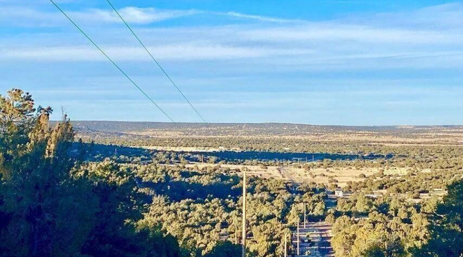 20260114050134280836000000-o