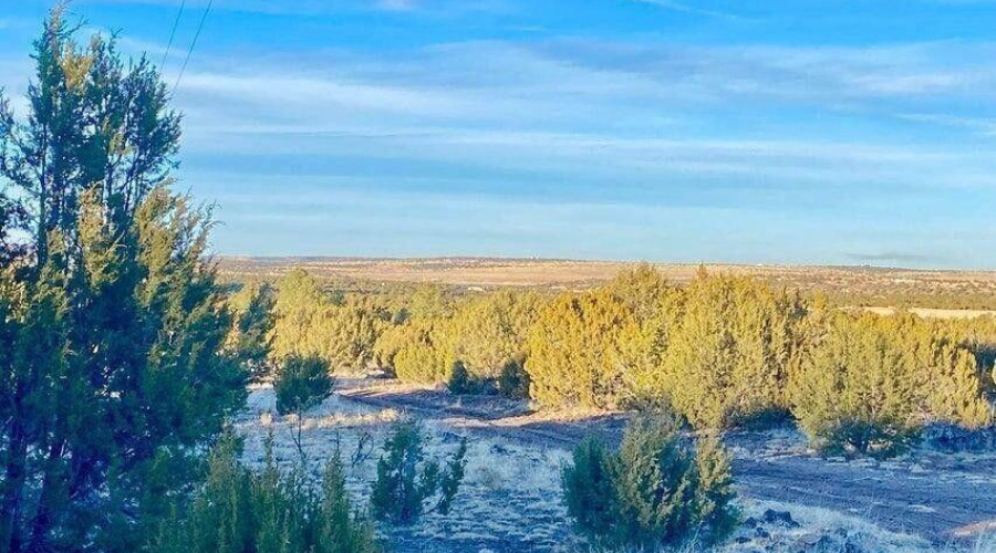 20260114050149348332000000-o