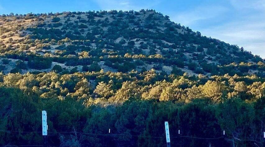 20260114050245451626000000-o