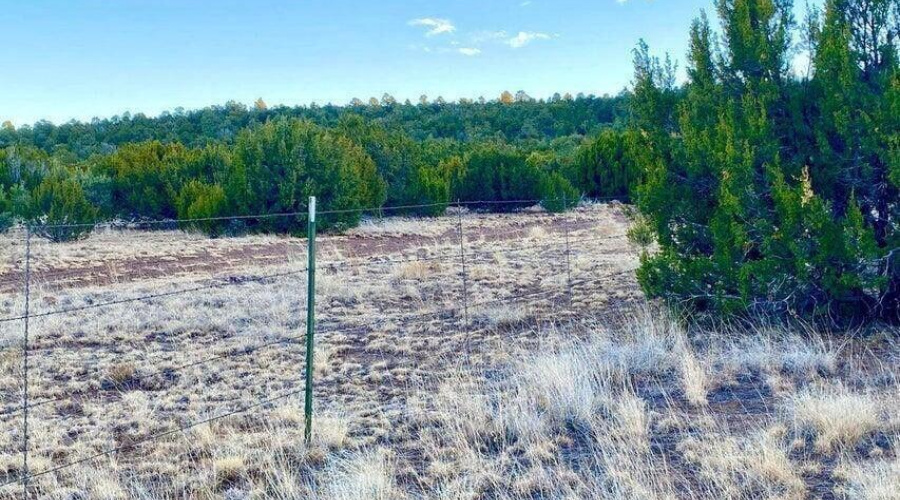 20260114050220584269000000-o