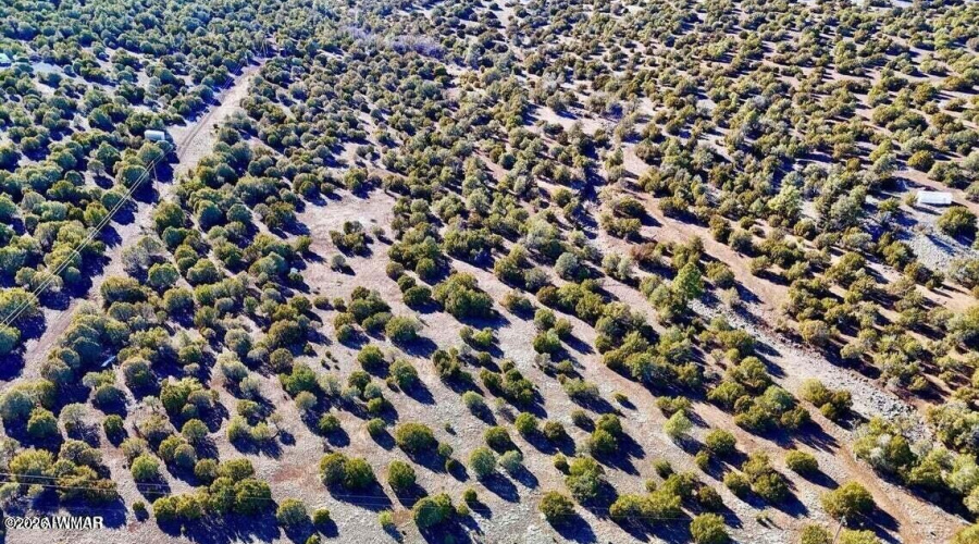 20260114050258455879000000-o