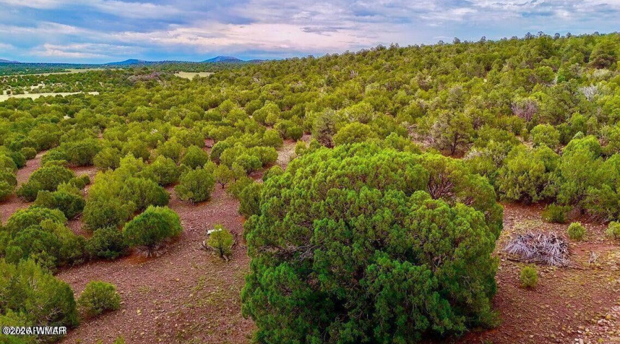 20260114045524112397000000-o