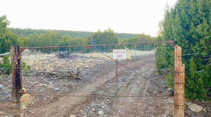 20260114045532514087000000-o