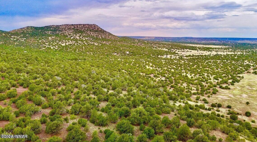 20260114045538745225000000-o