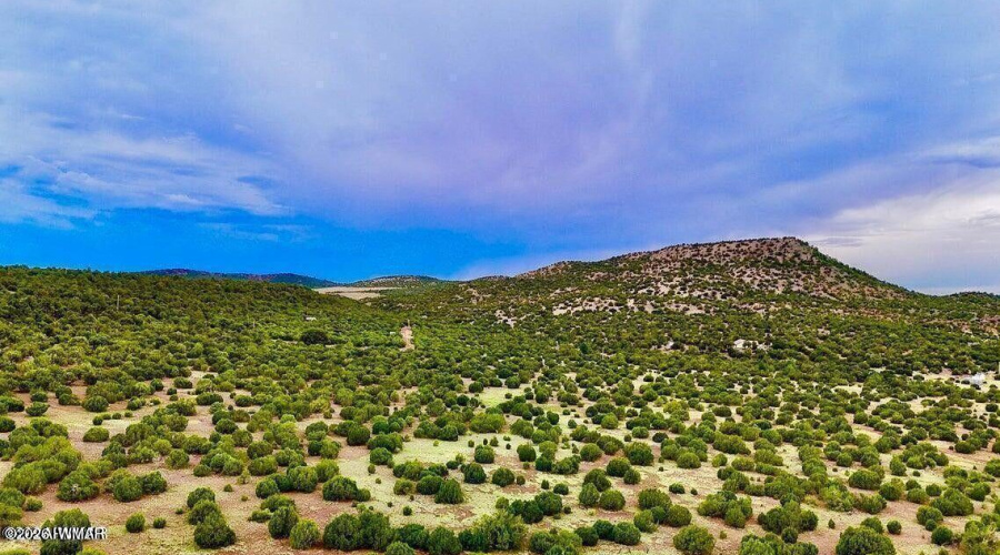 20260114045600970726000000-o