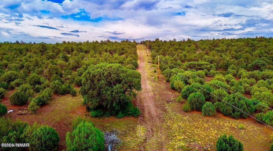 20260114045609645405000000-o