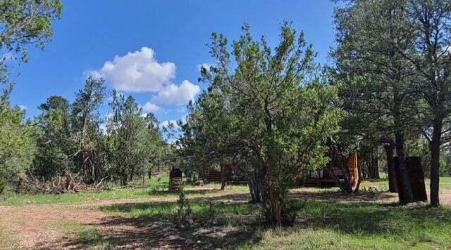 20210731024420477775000000-o