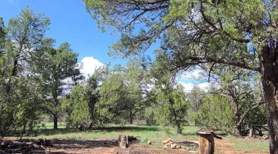 20210731024357272729000000-o