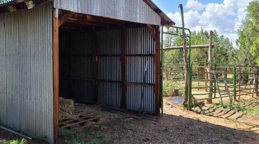 20210731021349843208000000-o