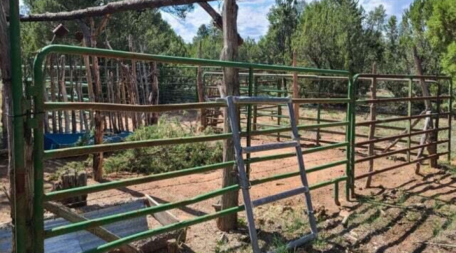 20210731021401744260000000-o