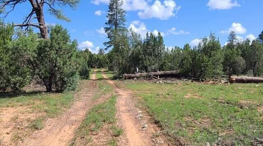 20210731024431090490000000-o