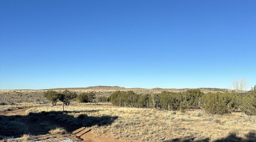 Fenced Property