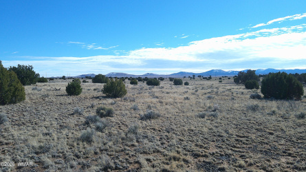 TBD Lakeview Ranch 1, Concho, Arizona 85924, ,Land,For Sale,Lakeview Ranch 1,259271