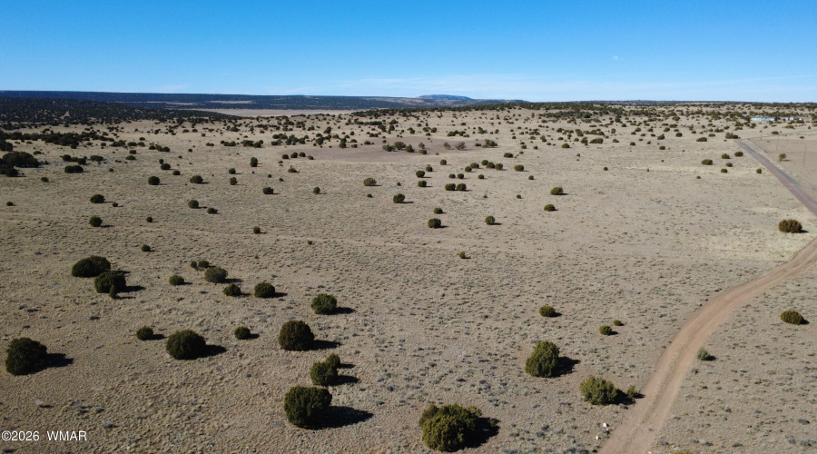 DJI_0381