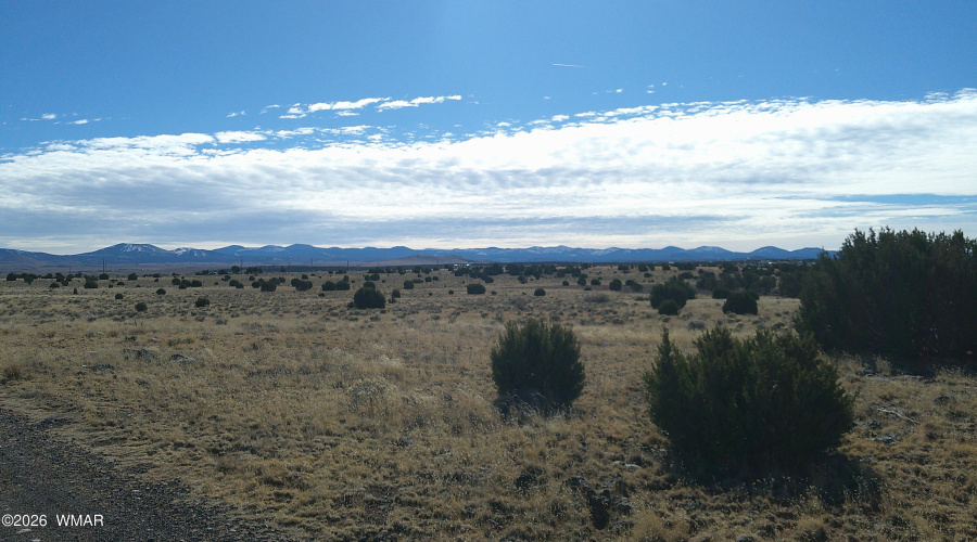 DSCF0001