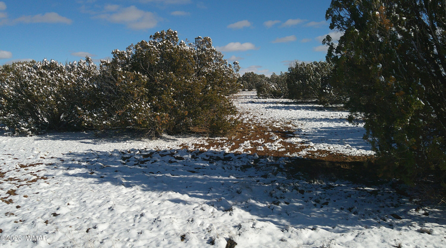 DSCF0014