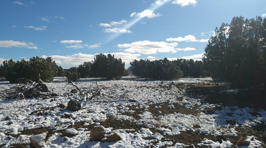 DSCF0022