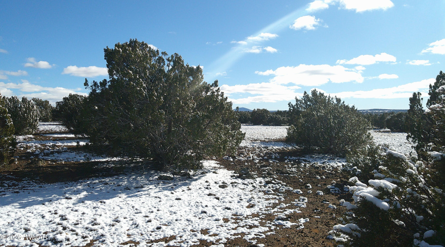 DSCF0023