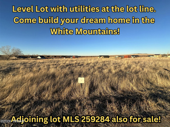 TBD 3RD PLACE LOT 125, Eagar, Arizona 85925, ,Land,For Sale,3RD PLACE LOT 125,259283