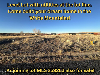TBD 3RD PLACE LOT 126, Eagar, Arizona 85925, ,Land,For Sale,3RD PLACE LOT 126,259284