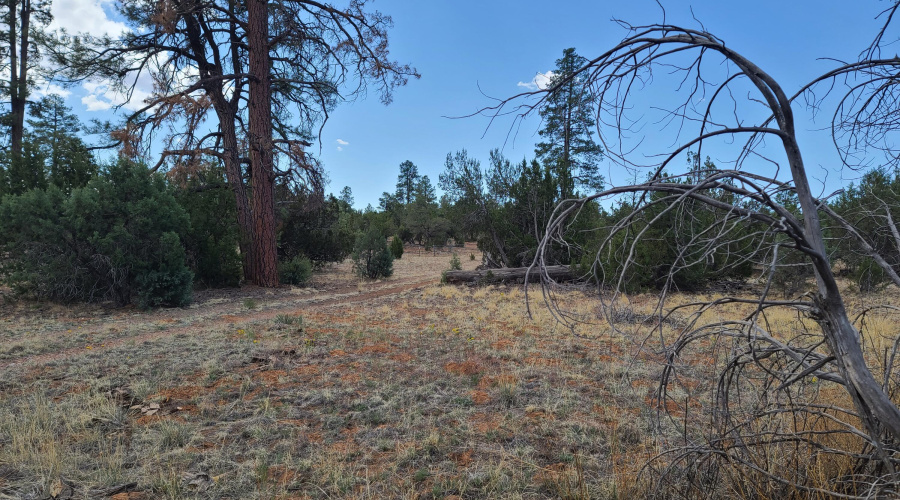 20210519_102543