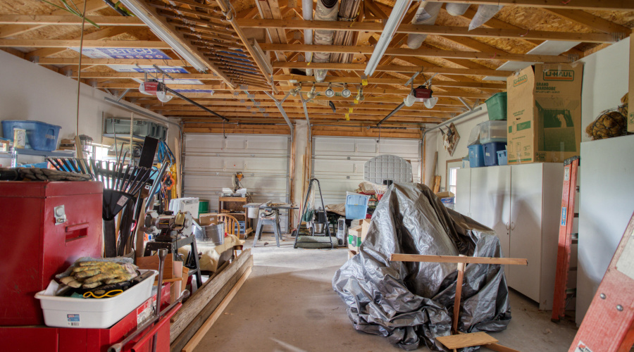 Paxmanphoto_PAX_2745