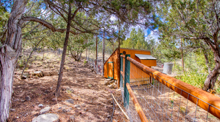 Paxmanphoto_PAX_2746