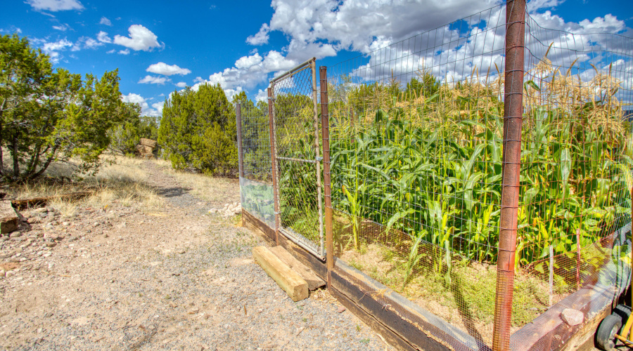 Paxmanphoto_PAX_2754