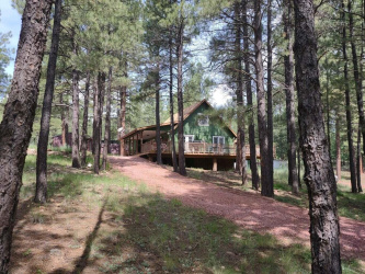 2132 Pine Valley Road, Happy Jack, Arizona 86024, Bedrooms, ,Bathrooms,Residential,For Sale,Pine Valley,93343