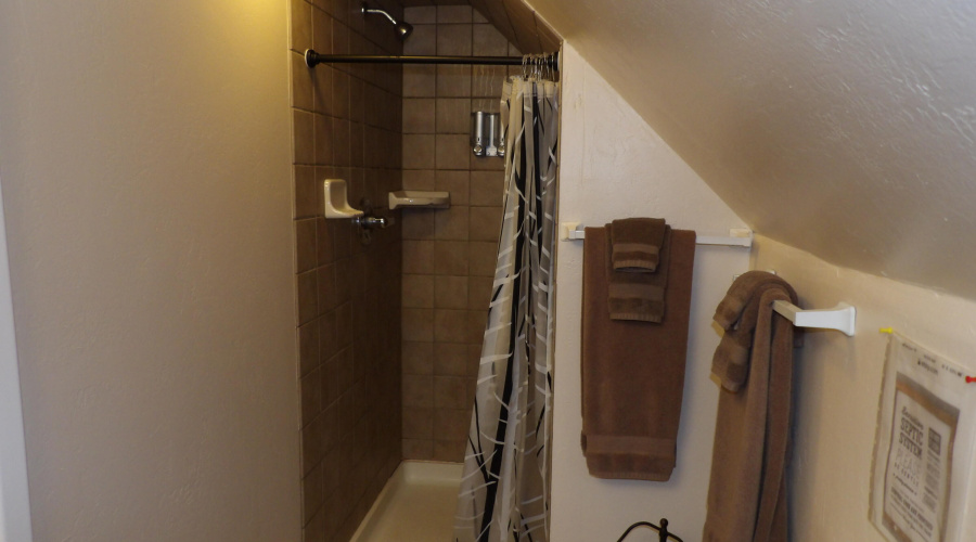 Guest Shower