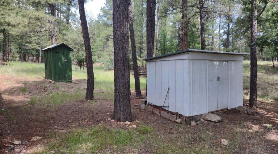 Shed