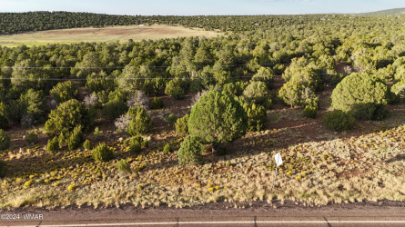35555 US-60, Vernon, Arizona 85940, ,Land,For Sale,US-60,259314