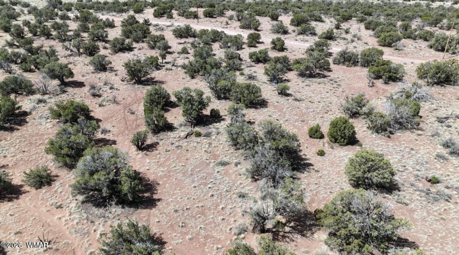 Sorrel Property