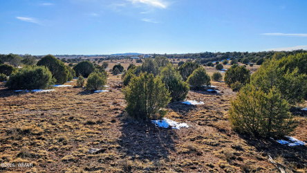 4964 Morning Glory Street, Clay Springs, Arizona 85923, ,Land,For Sale,Morning Glory,259343