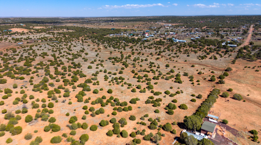 PaxmanPh_dji_fly_20260308_235354_0502_17