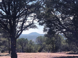 Lot 20 Mountain Pine Road, Vernon, Arizona 85940, Bedrooms, ,Bathrooms,Residential,For Sale,Mountain Pine,259341