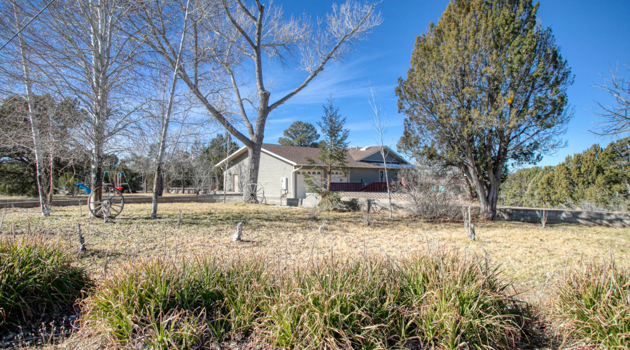 paxmanphotography--11