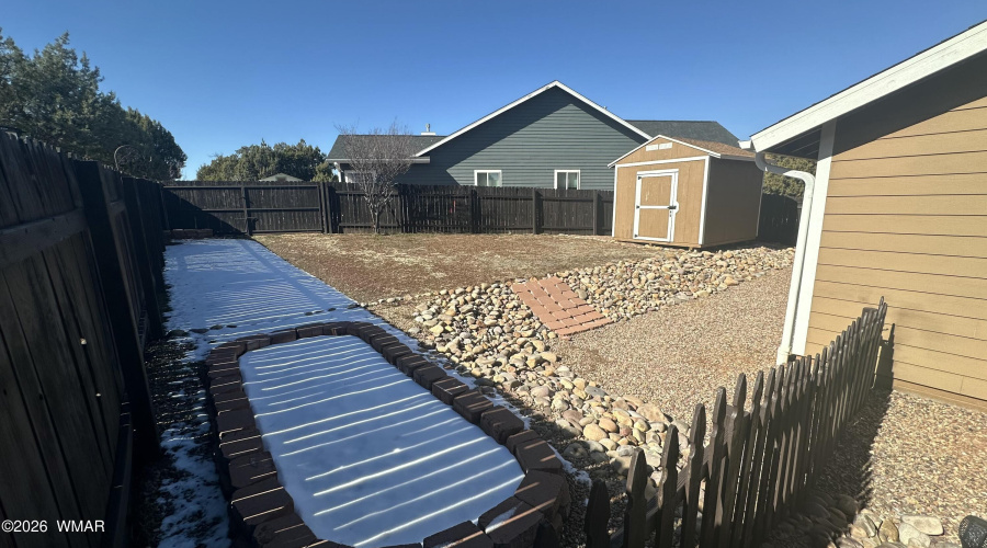 backyard4