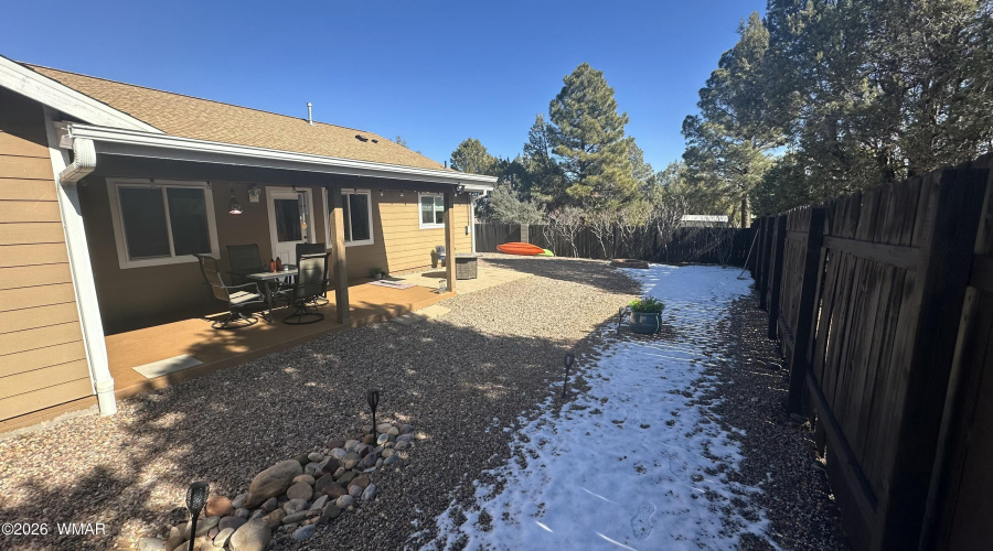 backyard3