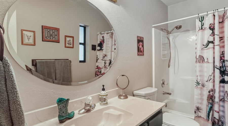 Guest bathroom