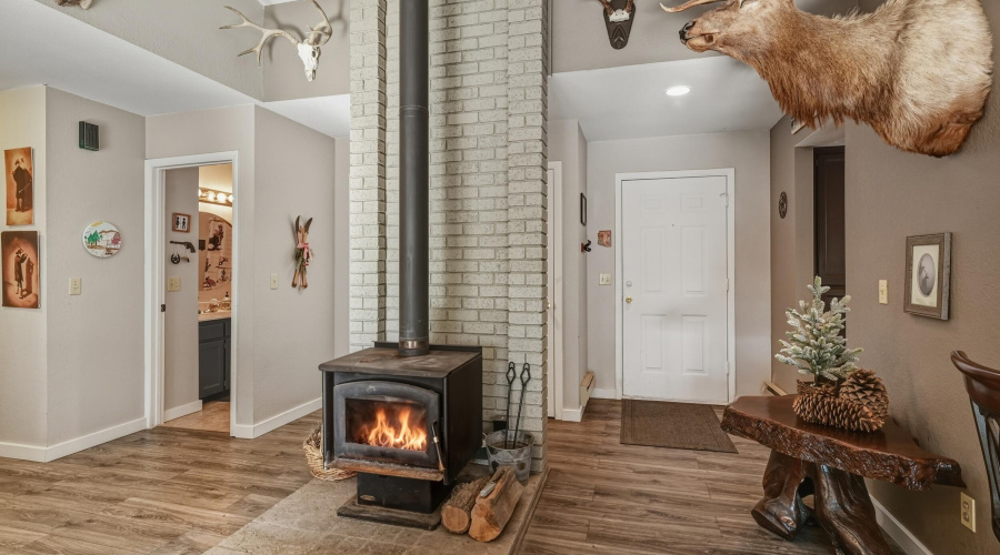 Wood stove